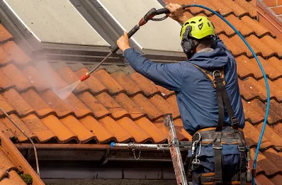 Démoussage et hydrofuge de toiture à Faudoas